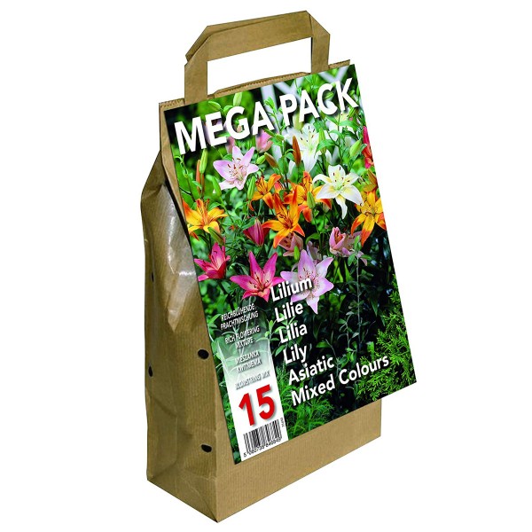 Big Buy Mega Pack Lilies 15 bulbs Mixed Colours