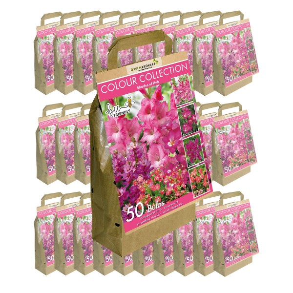 30 Packs Pink Colour Collection Summer Flowering Bulbs (50 Bulbs)