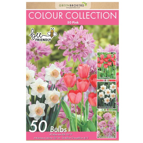 Colour Collection Spring Flower Bulbs-Pink (50 Bulbs) Bee Friendly