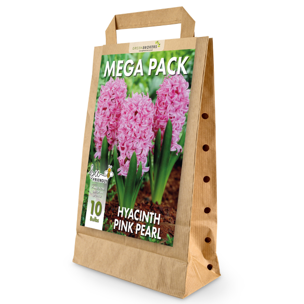 GreenBrokers Pink Hyacinth Bulbs – Pink Pearl (10 Pack), Bee-Friendly Pack B1376