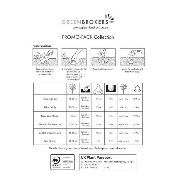 GreenBrokers 303 Bee-Friendly Spring Bulbs, Eco Garden Pack in Paper Gift Bag B1165