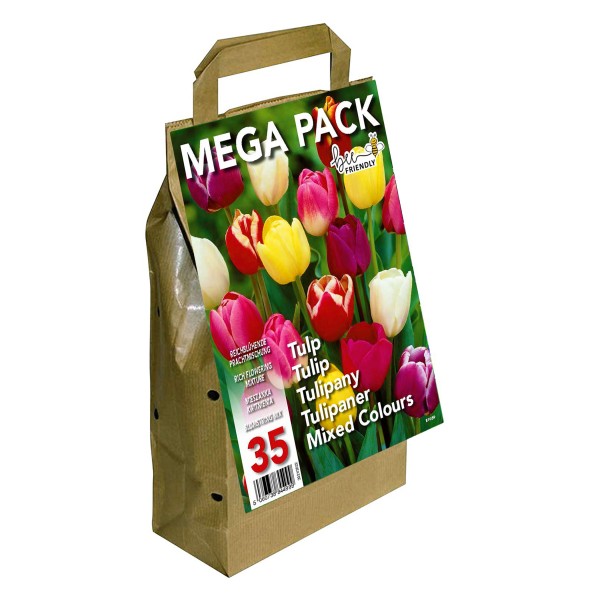 Big Buy Value Pack Tulip Bulbs-Mixed Colour (35 Bulbs) Bee Friendly