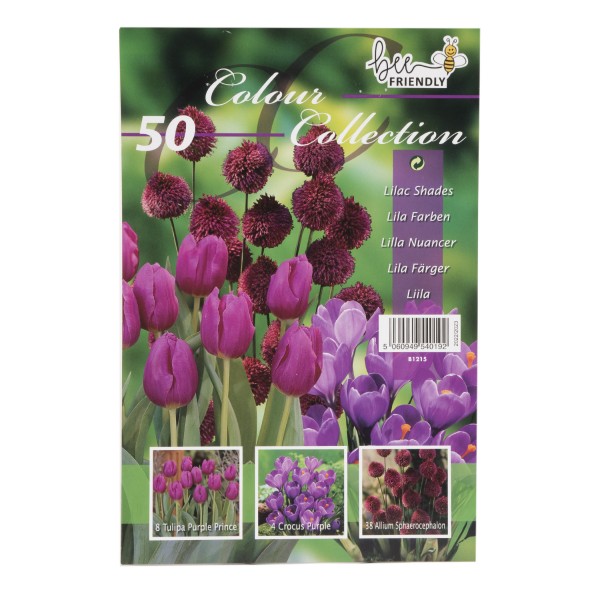 Colour Collection Spring Flower BulbsPurple (50 Bulbs) Bee Friendly