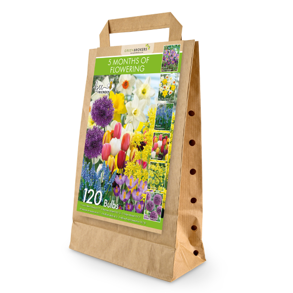 GreenBrokers 5 Month Flowering Bulb Mix – 120 Dutch Bulbs for Spring Gift Bag B1123