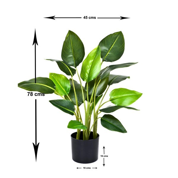 Artificial Real Touch Bird of Paradise Plant 78cm/2.5ft - A1048