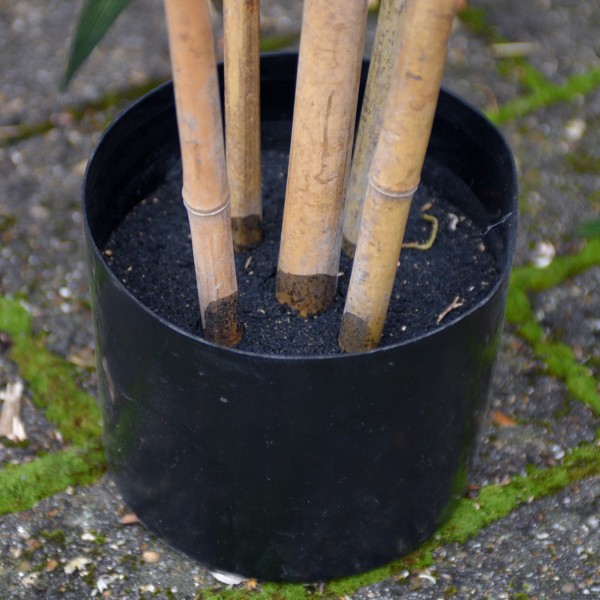 Artificial Bamboo Tree Five Stems in Pot 180cm