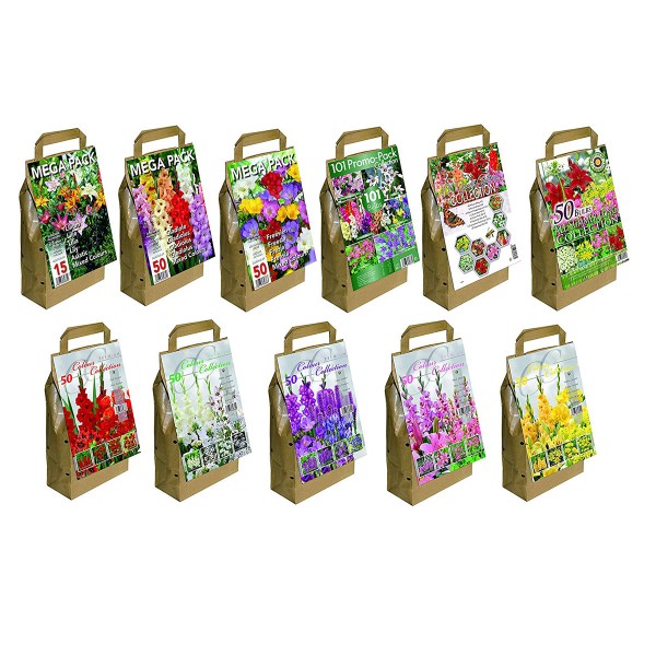 Pack of 50 GreenBrokers White Colour Collection Summer Flowering Bulbs