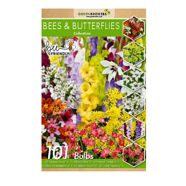 Bee and Butterfly Summer Collection Big Value Pack 6 Flowering Varieties Mixed Colour (101 Bulbs) - GB1311