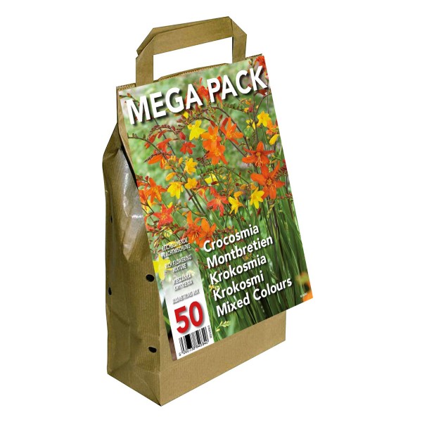 Big Buy Mega Pack Crocosmia ( 50 Bulbs) Summer Flowering