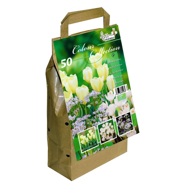 Colour Collection Spring Flower Bulbs-White (50 Bulbs) Bee Friendly 