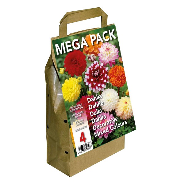 Big Buy Mega Pack Dahlia Decorative Summer Flowering Bulbs Mixed Colours (4 Bulbs)