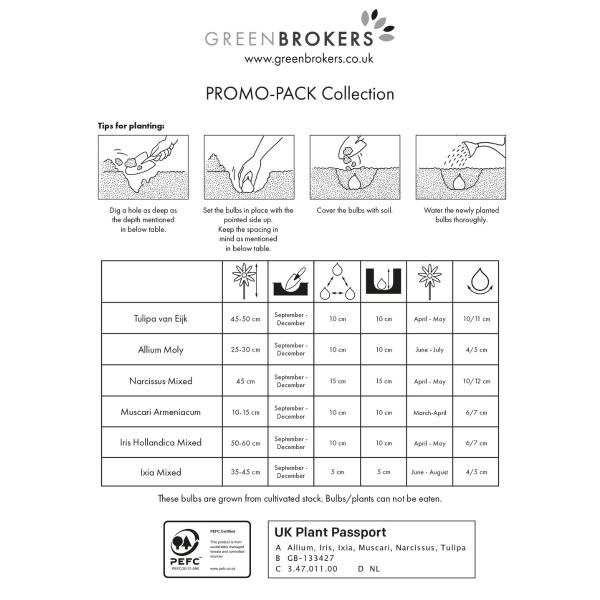 GreenBrokers Big Buy Spring Bulb Mix – 101 Bee-Friendly Dutch Bulbs B1212