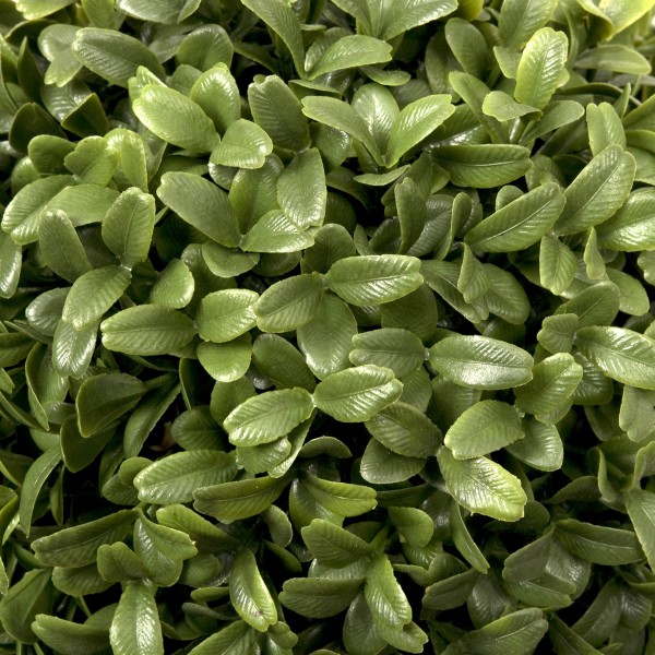 Artificial Topiary Triple Ball Aglaia Boxwood in Rustic Slanted Tin