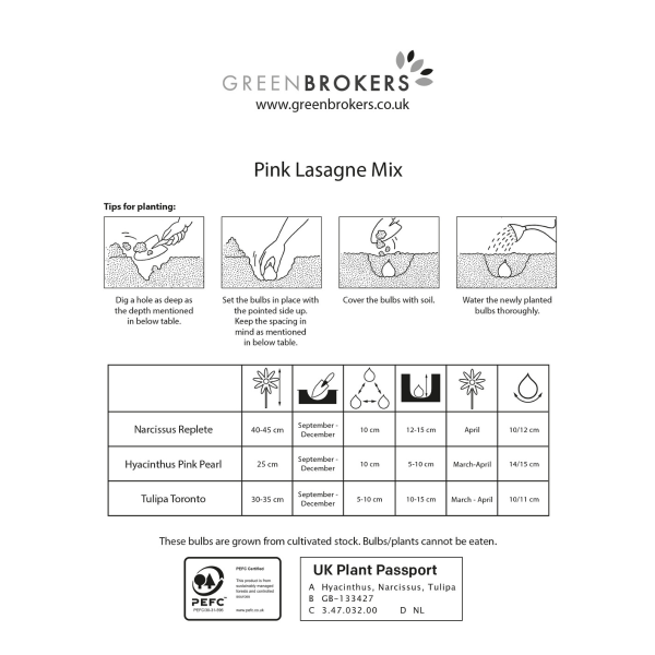 GreenBrokers Pink Lasagne Mix – 25 Spring Flower Bulbs, Bee Friendly B1201