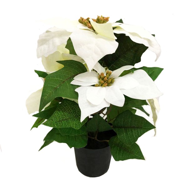 GreenBrokers Artificial White Poinsettia Christmas Plant in Pot 36cm D1400