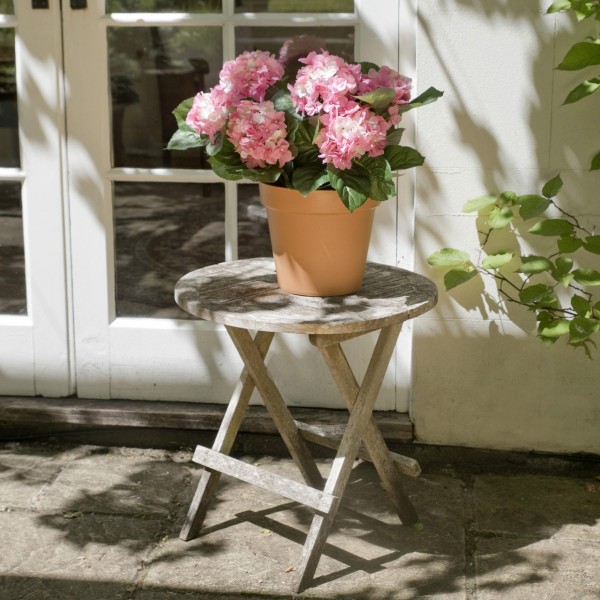 Image of Pink and white hydrangea flower in a terracotta pot