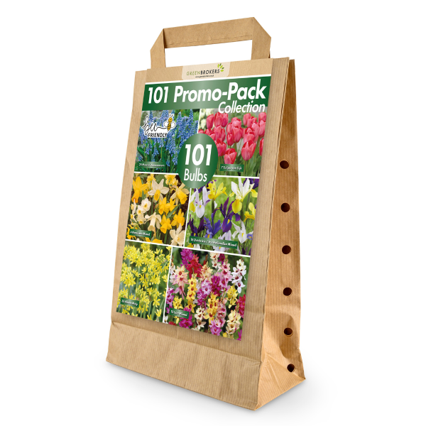 GreenBrokers Big Buy Spring Bulb Mix – 101 Bee-Friendly Dutch Bulbs B1212