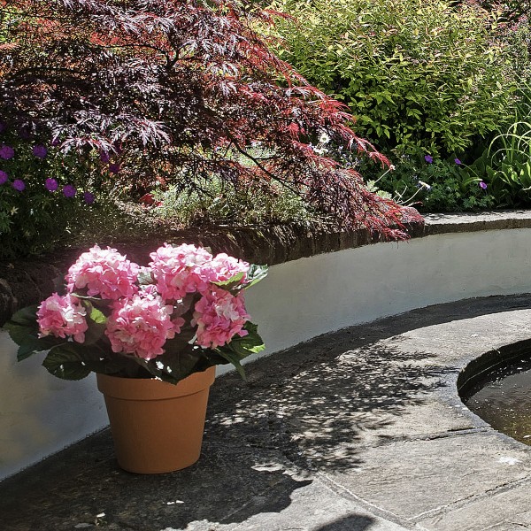 Artificial Pink Hydrangea in Terracotta Pot 50cm/20in - GB1308