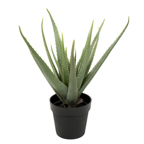 Artificial Soft Aloe Vera Succulent Plant in Black Pot 61cm/24in
