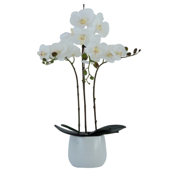 Elegant Large Triple Stem White Real Touch Artificial Potted Orchid (65cm) in Round White Ceramic Pot G1042