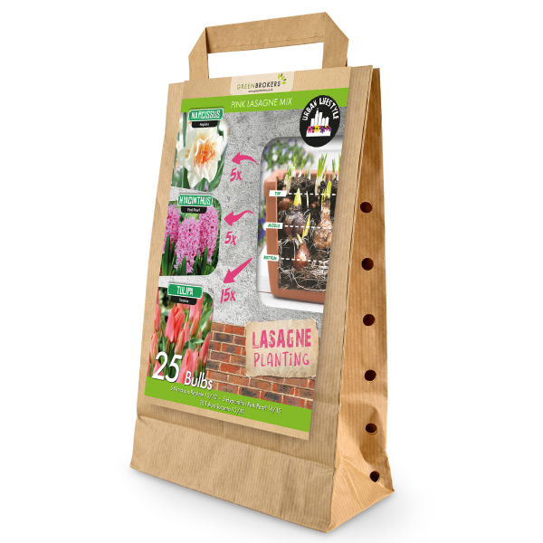 GreenBrokers Pink Lasagne Mix – 25 Spring Flower Bulbs, Bee Friendly B1201