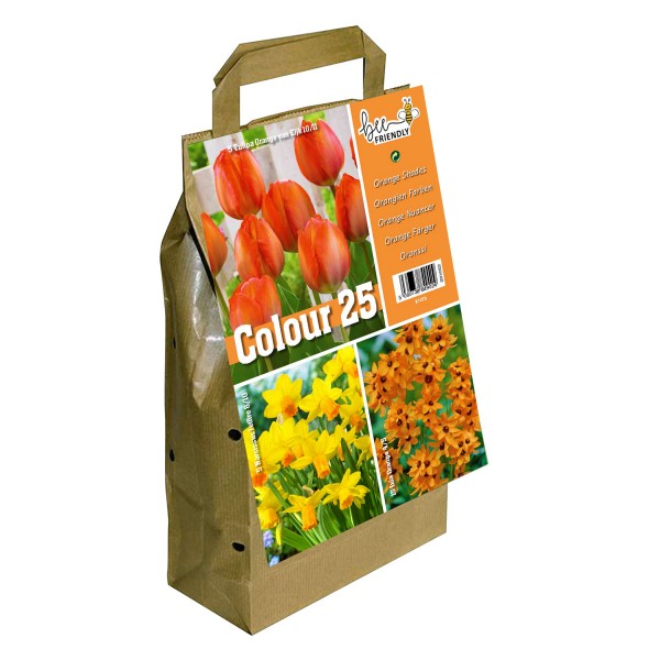 Colour Collection Spring Flowering Bulbs - Orange (25 Bulbs) Bee Friendly
