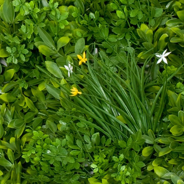 Artificial Premium Green Wall Hedge with Mixed Leaf Foliage Yellow & White Flowers Pack of 4 x 50cm/20in - GB1269