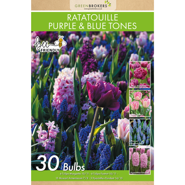 GreenBrokers Ratatouille Purple & Pink Tones Bulb Mix – 30 Dutch Bulbs B1166