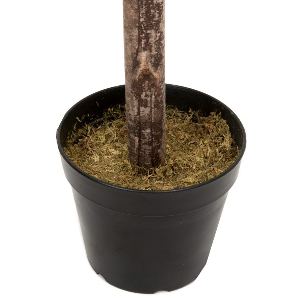 Artificial Premium Quality Olive Trees 150cm/5ft (Set of 2)