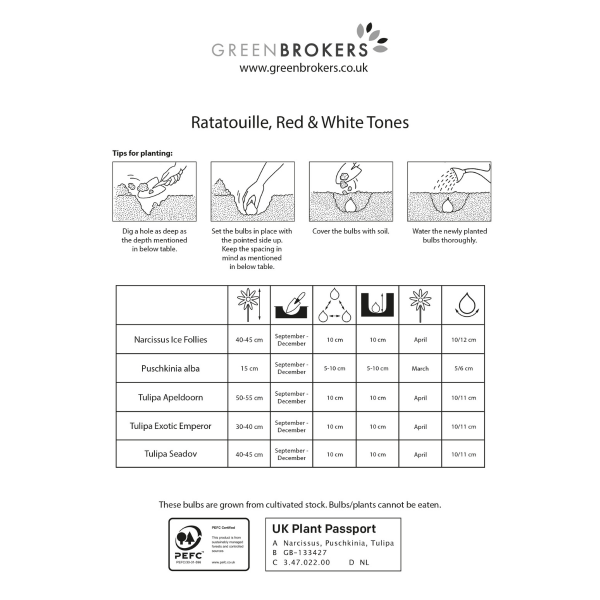 GreenBrokers Ratatouille Red & White Tones Bulb Mix – 30 Dutch Bulbs B1167