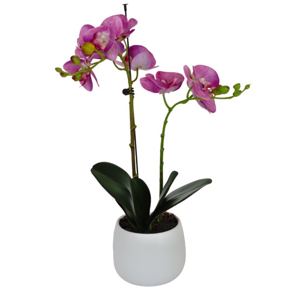 Elegant Double Stem Pink Real Touch Artificial Potted Orchid (46cm) in Round White Ceramic Pot G1179