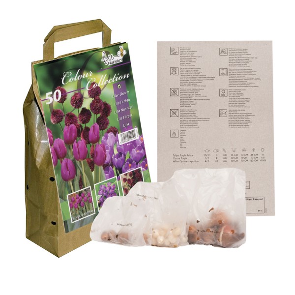 Colour Collection Spring Flower BulbsPurple (50 Bulbs) Bee Friendly