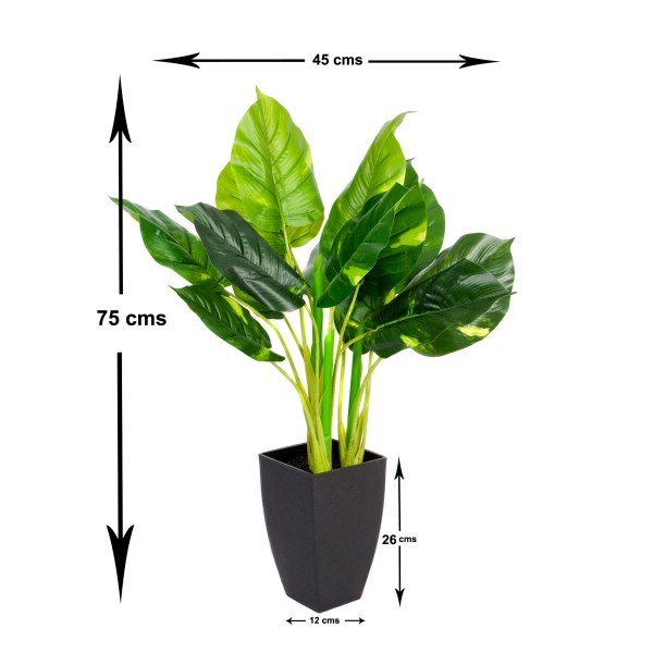 Artificial Real Touch Pothos Plant in Black Pot 75cm/2ft - GB1164