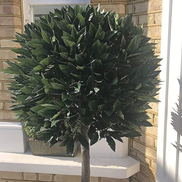 Artificial Premium Quality Bay Tree 152cm/5ft