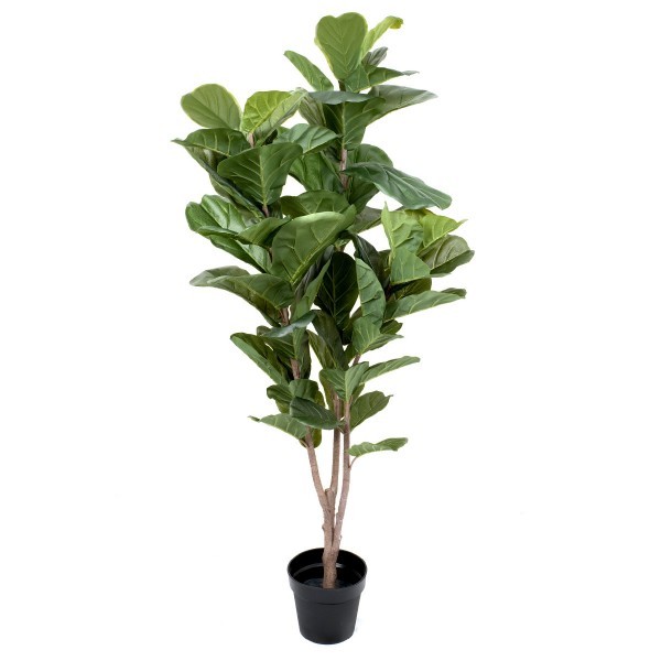 Artificial Real Touch Fiddleleaf Tree 5ft/150cm - A1365