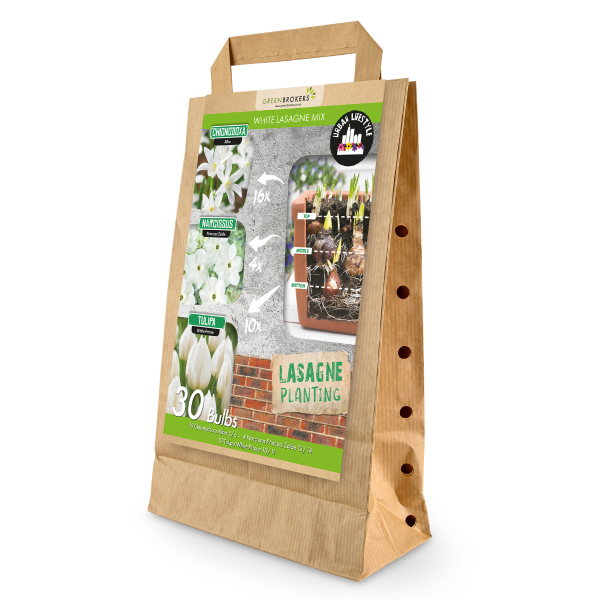 GreenBrokers White Lasagne Bulb Mix – 30 Spring Bulbs, Bee-Friendly B1203