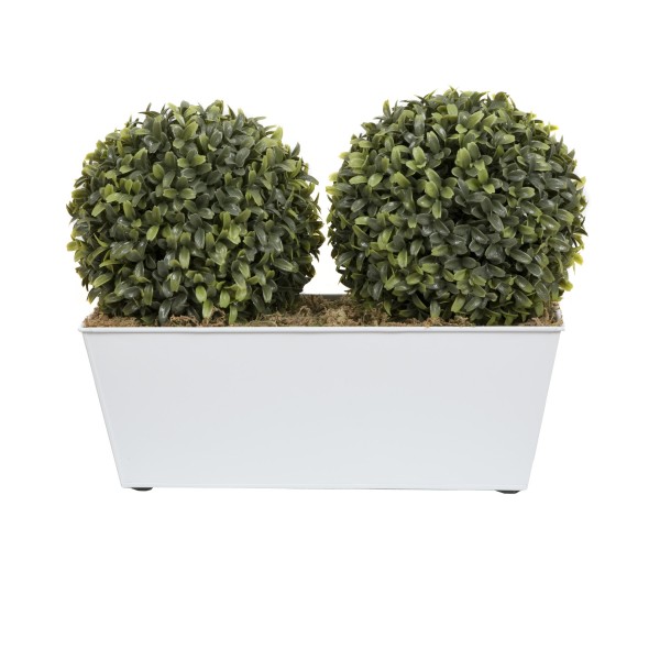 Artificial Topiary Double Ball Aglaia Boxwood in White Slanted Tin Window Box 35cm/14in - GB1057
