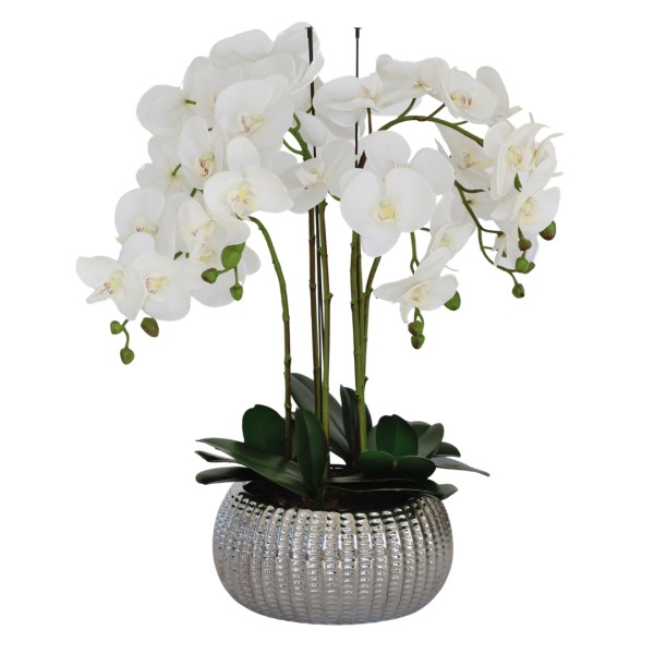 Elegant Large Six Stem Butterfly White Real Touch Artificial Potted Orchid (65cm) in Decorative Silver Ceramic Pot G1044