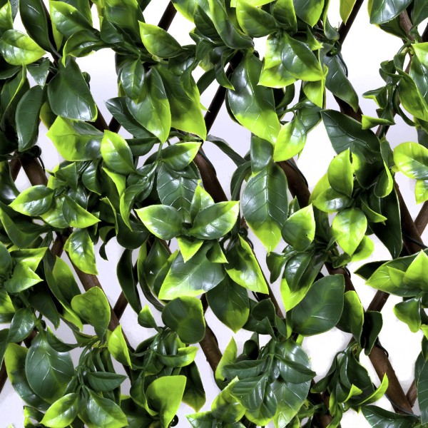 Artificial Expanding Green Wall Willow Trellis Fence with Variegated Green Leaf Foliage (1m x 2m) - GB1148