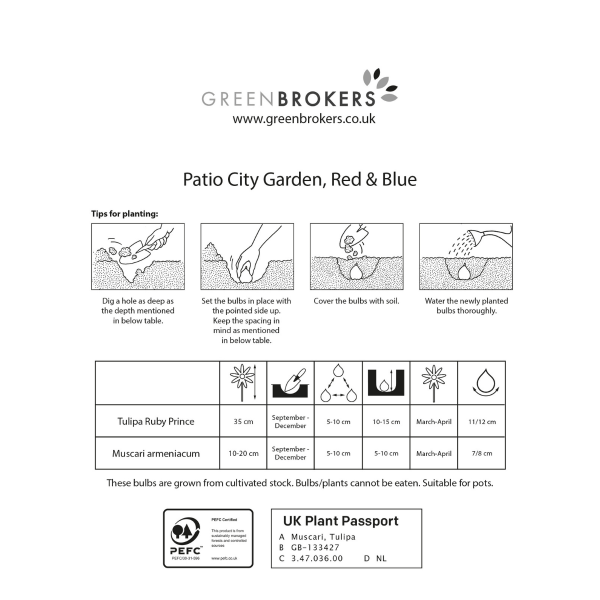 GreenBrokers Spring Balcony and Patio Planter Mix – 40 Red & Blue Bulbs B1315