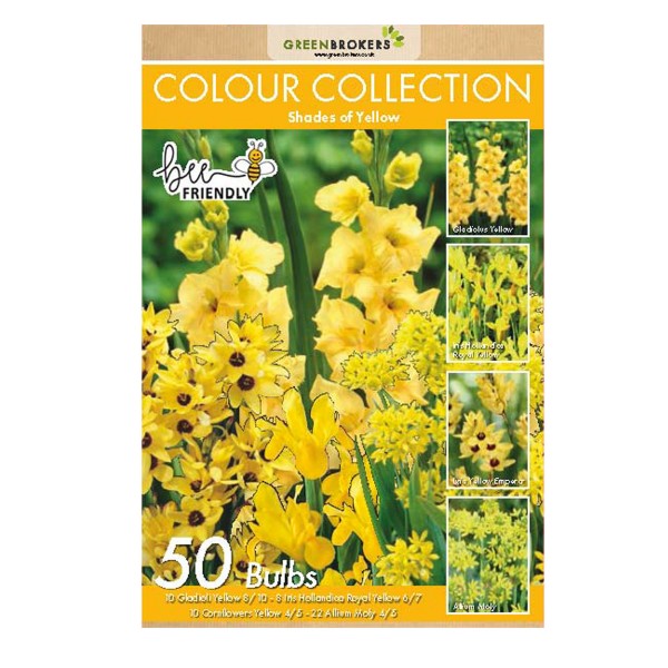 Yellow Colour Collection Summer Flowering Bulbs (50 Bulbs) - GB1310