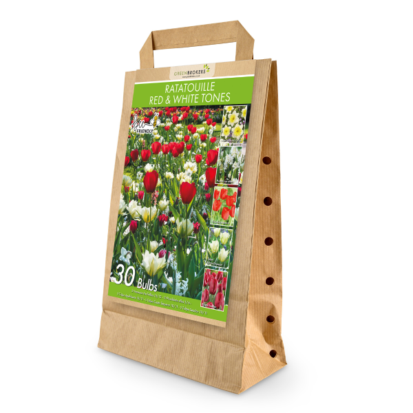 GreenBrokers Ratatouille Red & White Tones Bulb Mix – 30 Dutch Bulbs B1167