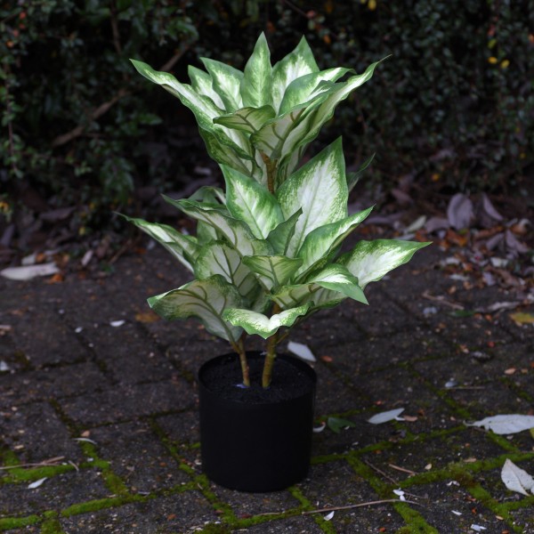 Artificial Real Touch Rubber Plant 55cm