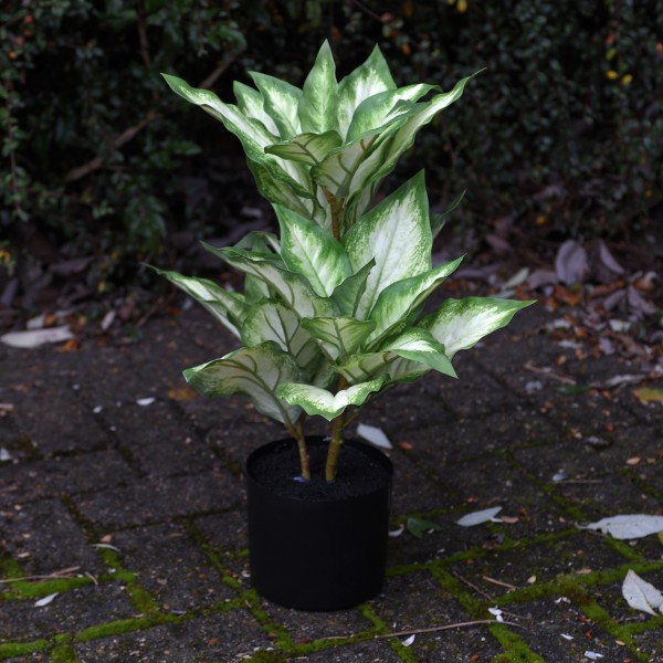 Artificial Real Touch Rubber Plant 55cm