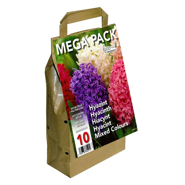 Big Buy Value Pack Hyacinth Bulbs-Mixed Colour (10 Bulbs) Bee Friendly