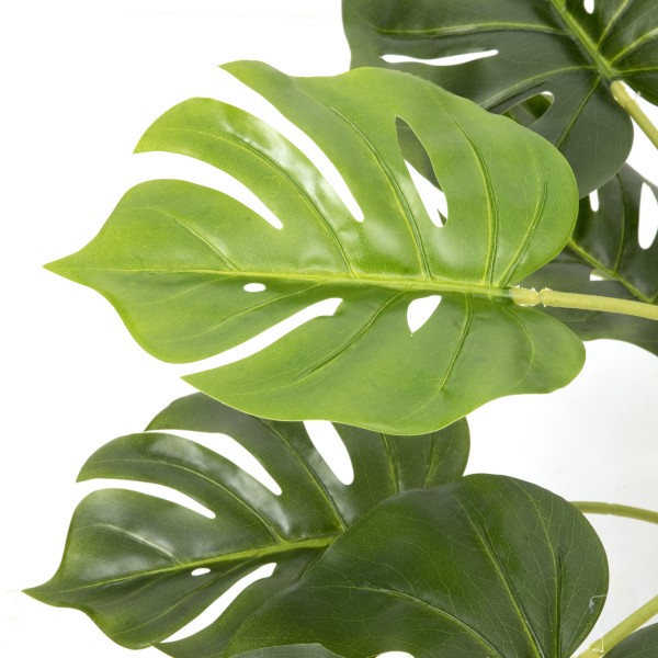 Artificial Tropical Monstera Tree in Black Pot 55cm/22in - GB1292