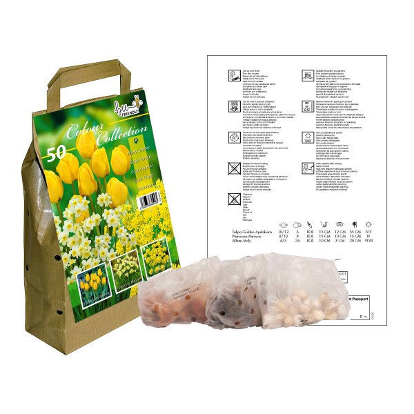 Colour Collection Spring Flower BulbsYellow (50 Bulbs) Bee Friendly