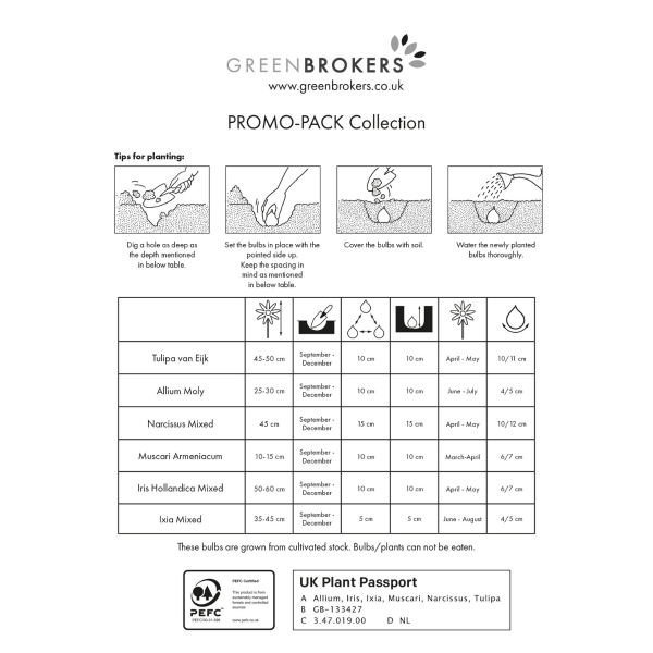 GreenBrokers 202 Bulb Bee-Friendly Flower Mix, Spring Garden Pack in Eco Bag B1154