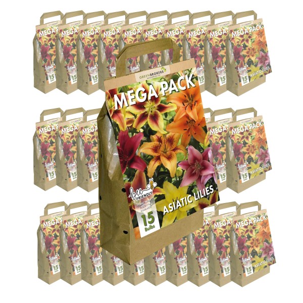 30 Packs Big Buy Mega Summer Pack Lilies Mixed Colours (15 Bulbs)