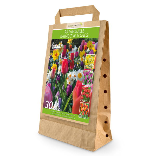 GreenBrokers Ratatouille Rainbow Bulb Mix – 30 Dutch Bulbs, Bee-Friendly Gift B1168
